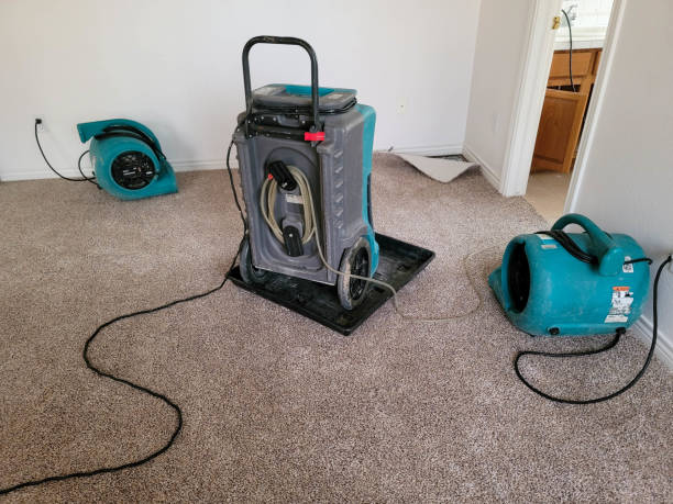 Best Carpet water damage restoration  in Warsaw, VA