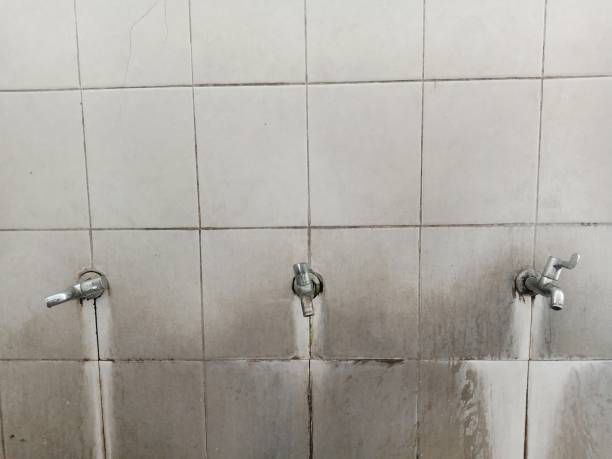 Best Professional water damage repair  in Warsaw, VA