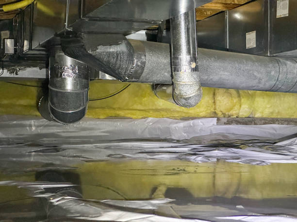 Best Local water damage restoration  in Warsaw, VA