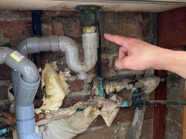 Best Water damage contractors near me  in Warsaw, VA