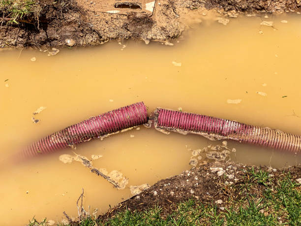 Best Residential water damage restoration  in Warsaw, VA